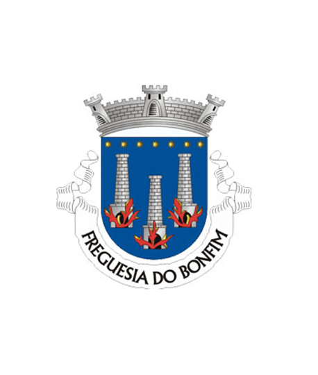 Comissão Social de Freguesia